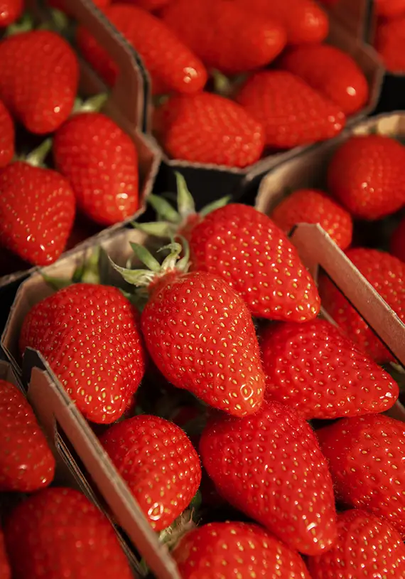 barquettes de fraises pour faire un confit de fraise