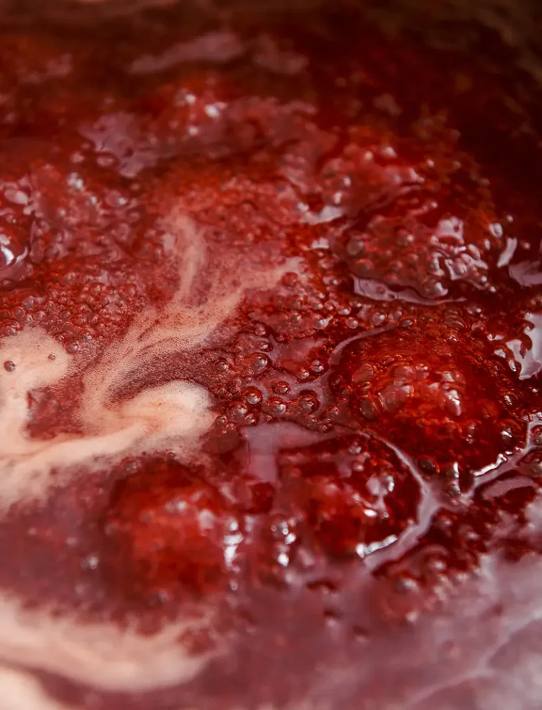 artisan de france confits